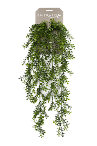 Buxus hangend 75cm groen