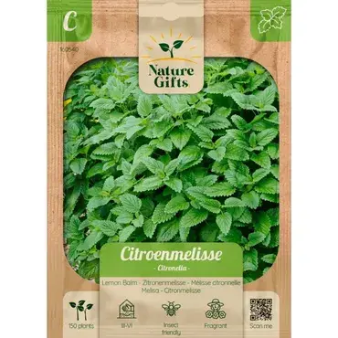 Citroenmelisse citronella 150st - afbeelding 1