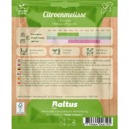 Citroenmelisse citronella 150st - afbeelding 2