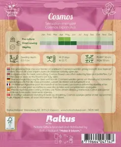 Cosmos sensation mengsel 40st - afbeelding 2