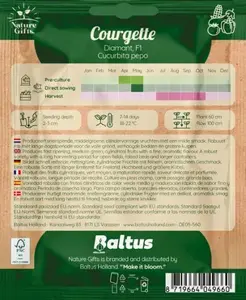 Courgette diamant f1 - afbeelding 2