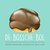 De Bossche Bol