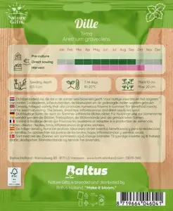 Dille tetra 300st - afbeelding 2