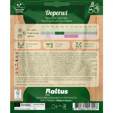 Doperwt kelvedon wonder per 9m - afbeelding 2