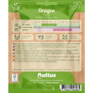 Dragon 150st - afbeelding 2