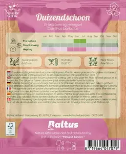 Duizendschoon enkelbloemig mengsel 60st - afbeelding 2