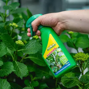 ECOstyle Promanal-r gebruiksklaar 500ml