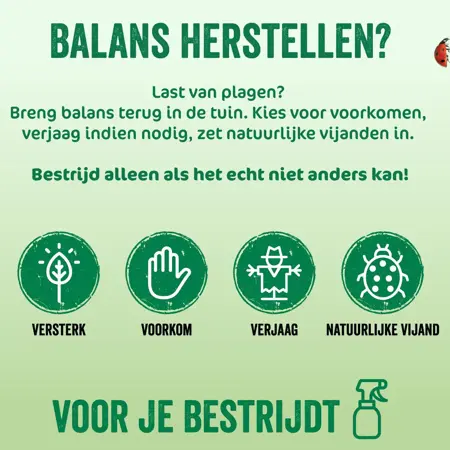 Ecostyle Spruzit-r gebruiksklaar 750ml