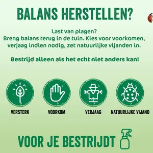 Ecostyle Spruzit-r gebruiksklaar 750ml