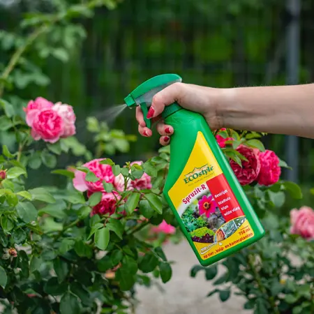 Ecostyle Spruzit-r gebruiksklaar 750ml