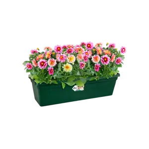 Elho balkonbak green basics 60cm bladgroen - afbeelding 3