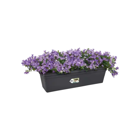 Elho balkonbak green basics 60cm living black - afbeelding 4