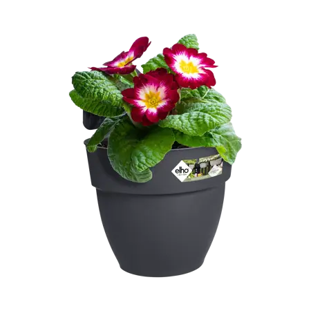 Elho hangpot vibia campana d24cm antraciet - afbeelding 4