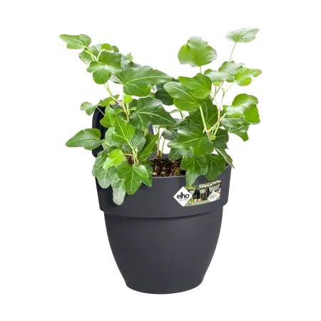 Elho hangpot vibia campana d24cm antraciet - afbeelding 5