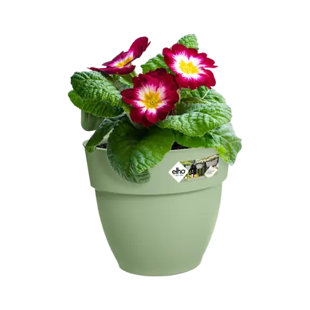 Elho hangpot vibia campana d24cm pistachegroen - afbeelding 4