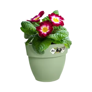 Elho hangpot vibia campana d24cm pistachegroen - afbeelding 4