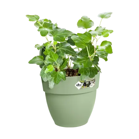 Elho hangpot vibia campana d24cm pistachegroen - afbeelding 5