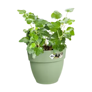 Elho hangpot vibia campana d24cm pistachegroen - afbeelding 5