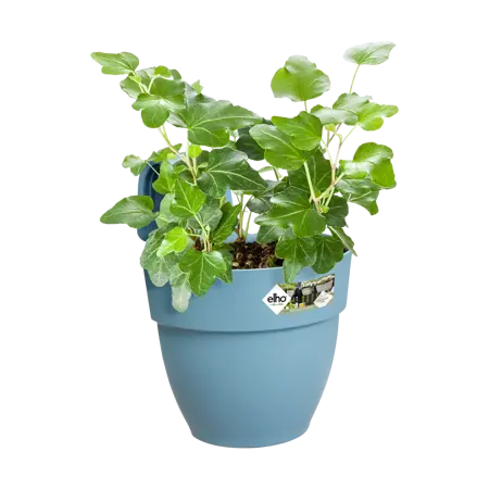 Elho hangpot vibia campana d24cm vintage blauw - afbeelding 5