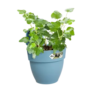 Elho hangpot vibia campana d24cm vintage blauw - afbeelding 5