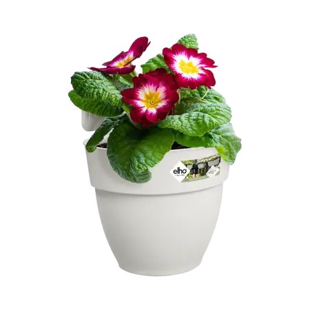 Elho hangpot vibia campana d24cm zijdewit - afbeelding 4
