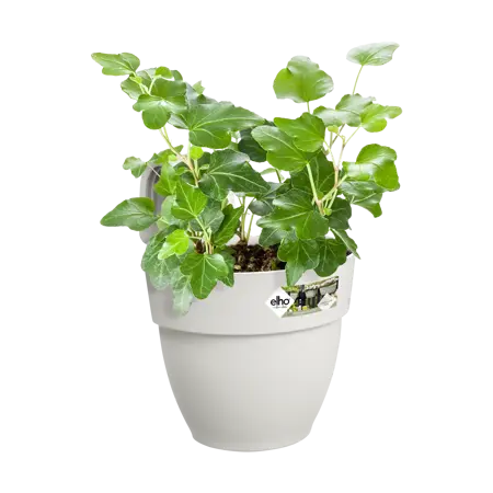 Elho hangpot vibia campana d24cm zijdewit - afbeelding 5