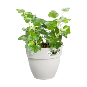 Elho hangpot vibia campana d24cm zijdewit - afbeelding 5