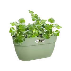 Elho hangpot vibia campana d36cm pistachegroen - afbeelding 4