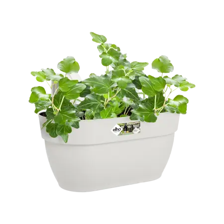 Elho hangpot vibia campana d36cm zijdewit - afbeelding 6