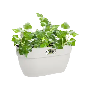 Elho hangpot vibia campana d36cm zijdewit - afbeelding 6
