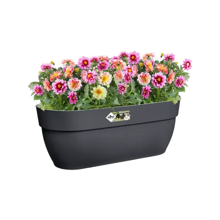 Elho hangpot vibia campana d46cm antraciet - afbeelding 4