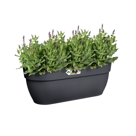 Elho hangpot vibia campana d46cm antraciet - afbeelding 5