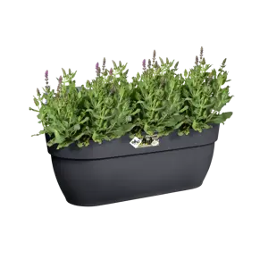 Elho hangpot vibia campana d46cm antraciet - afbeelding 5