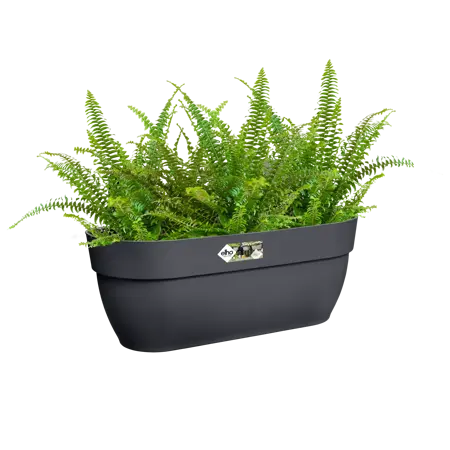 Elho hangpot vibia campana d46cm antraciet - afbeelding 6