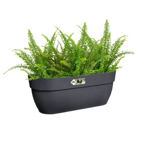 Elho hangpot vibia campana d46cm antraciet - afbeelding 6