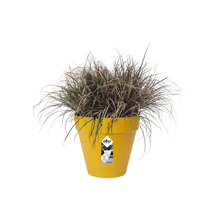 Elho pot loft urban d30cm oker - afbeelding 3
