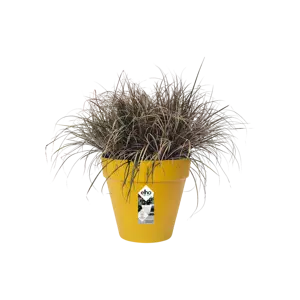 Elho pot loft urban d30cm oker - afbeelding 3