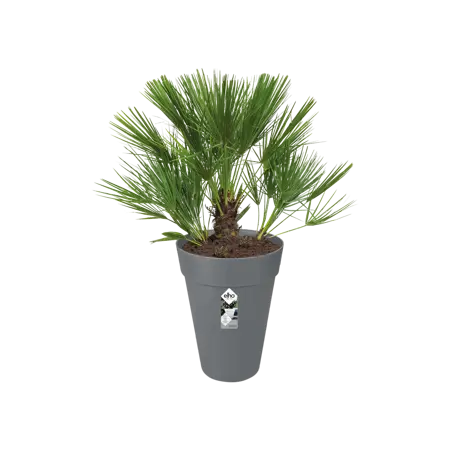 Elho pot loft urban hoog d28cm antraciet - afbeelding 3