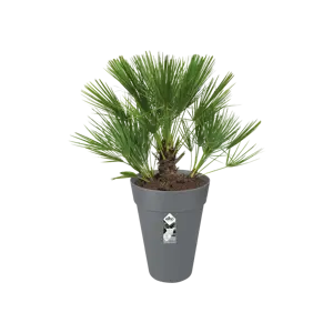 Elho pot loft urban hoog d28cm antraciet - afbeelding 3
