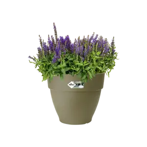 Elho pot vibia campana d20cm saliegroen - afbeelding 6
