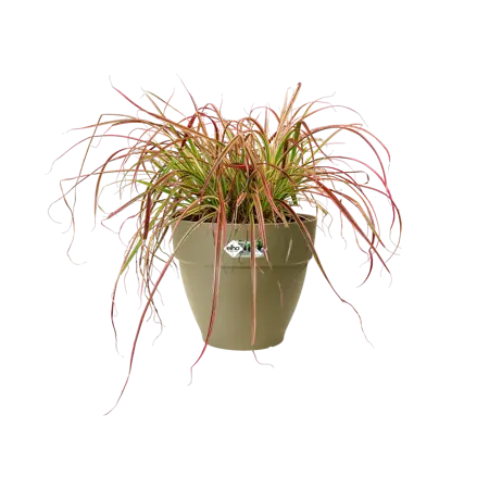 Elho pot vibia campana d25cm saliegroen - afbeelding 4