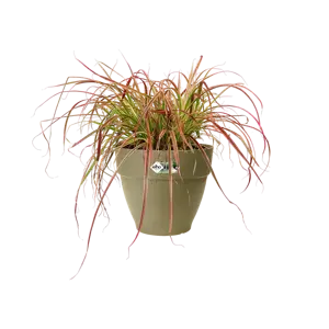 Elho pot vibia campana d25cm saliegroen - afbeelding 4