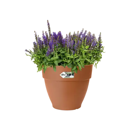 Elho pot vibia campana d25cm terra - afbeelding 3