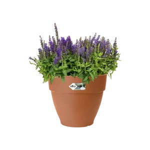 Elho pot vibia campana d25cm terra - afbeelding 3