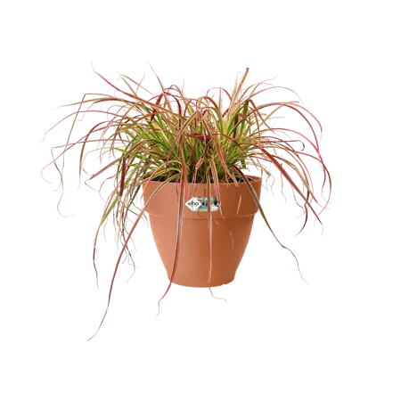 Elho pot vibia campana d25cm terra - afbeelding 4