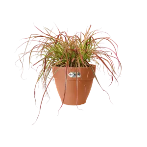 Elho pot vibia campana d25cm terra - afbeelding 4