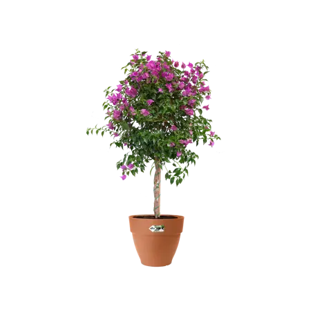 Elho pot vibia campana d25cm terra - afbeelding 5