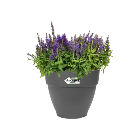 Elho pot vibia campana d35cm antraciet - afbeelding 3