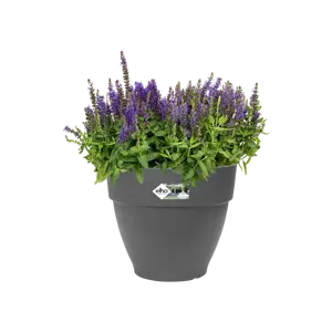 Elho pot vibia campana d35cm antraciet - afbeelding 3