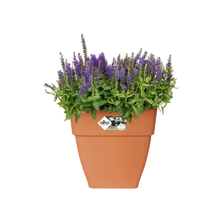 Elho pot vibia campana vierkant 30cm terra - afbeelding 4